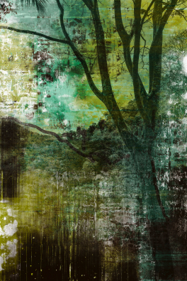 Paramnesie (Malaysia Cameron Highlands) 01