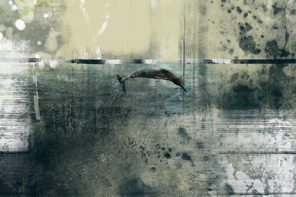 Paramnesie (Malaysia Delfin) 01