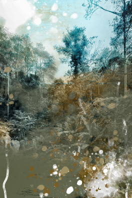 Paramnesie (Malaysia Regenwald) 01